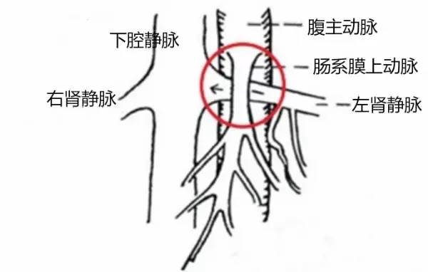 第四軍醫(yī)大學(xué)精彩分享個(gè)性化醫(yī)療3D打印的實(shí)戰(zhàn)案例與研究成果